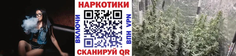 Купить наркотики цена Бирюч АМФ Гашиш Псилоцибиновые грибы Канабис Cocaine Alpha PVP