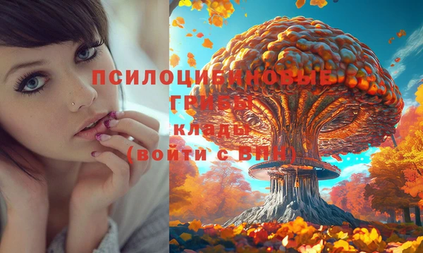 каннабис Алексеевка