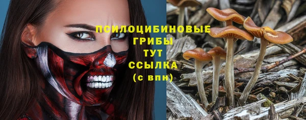 бутират Алзамай
