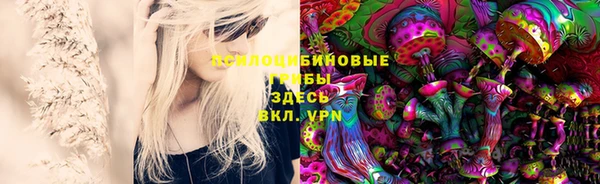 каннабис Алексеевка