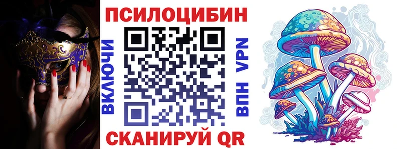 купить наркотик  Бирюч  Галлюциногенные грибы Cubensis 